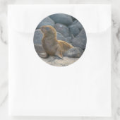 Galapagos Zeerover Ronde Sticker (Tas)