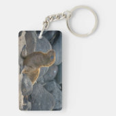 Galapagos Zeerover Sleutelhanger (achterkant)