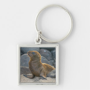 Galapagos Zeerover Sleutelhanger