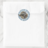 Galapagoseilanden Zee Leeuwen Ronde Sticker (Tas)