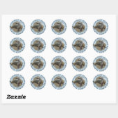 Galapagoseilanden zeehonden Zeeen leeuwen Ronde Sticker (Vel)