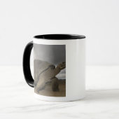 Galapagosreuzenschildpad Geochelone Mok (Voorkant links)