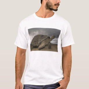 Galapagosreuzenschildpad Geochelone T-shirt