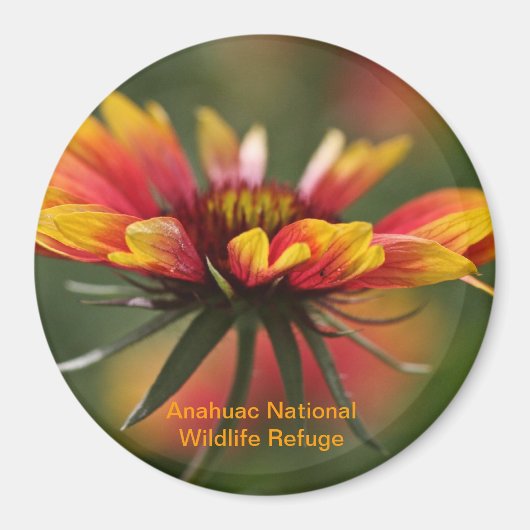 Galardia Magneet (Voorkant)