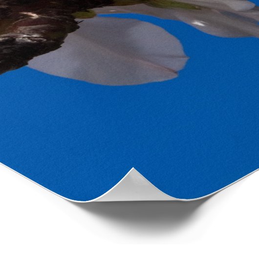 Galatians 5:22,23 Poster (Hoek)