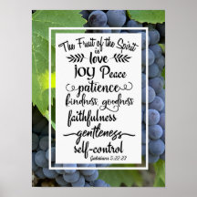 Galatians 5:22-23 The Fruit of the Spirit
