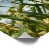 Galaties 6:7 Wat een man soweth... Poster (Hoek)