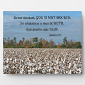 Galaties 6:7 Wees niet bedrogen, God wordt niet ge Fotoplaat (Voorkant)