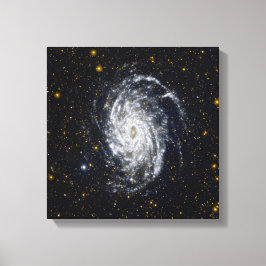 Galaxis NGC 6744 Canvas Afdruk