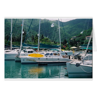 Galaxy bij Nanny Cay-Tortola