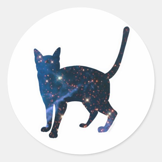 Galaxy Cat Sticker (Voorkant)
