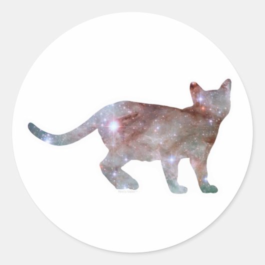 Galaxy Cat Sticker 2 (Voorkant)