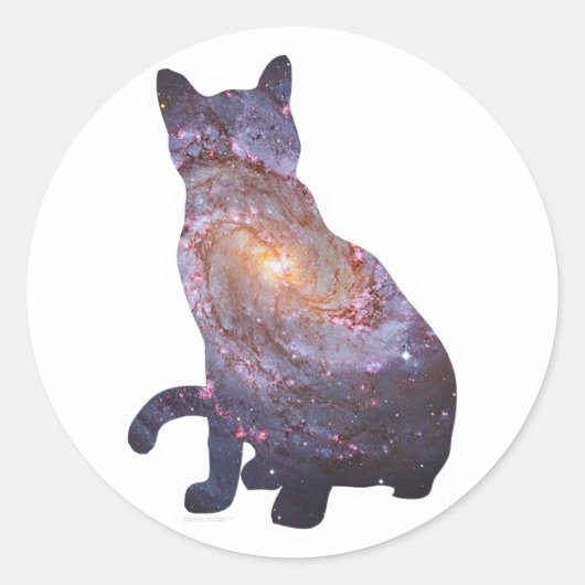 Galaxy Cat Sticker 4 (Voorkant)