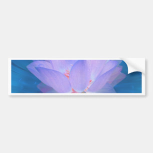 Galaxy Flower Bumpersticker