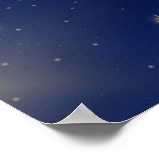 Galaxy Kat en Bloemen in Pansexual Vlag Kleuren Poster (Hoek)