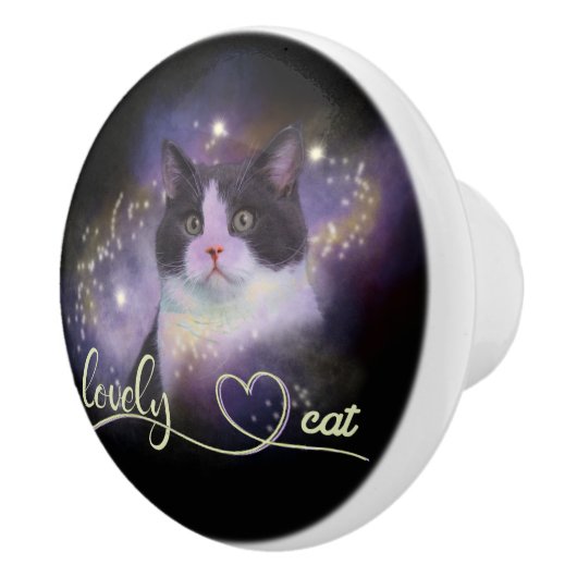Galaxy Lovely Cat Keramische Knop (Rechts)