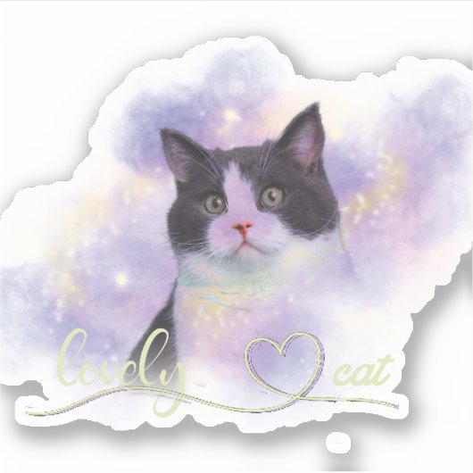 Galaxy Lovely Cat Sticker (Voorkant)