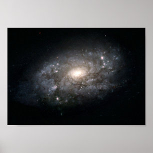 Galaxy NGC 3949: een melkweg vergelijkbaar met de  Poster