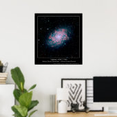 Galaxy NGC 7793 - Spitzer Space Telescope - Infrar Poster (Thuiskantoor)