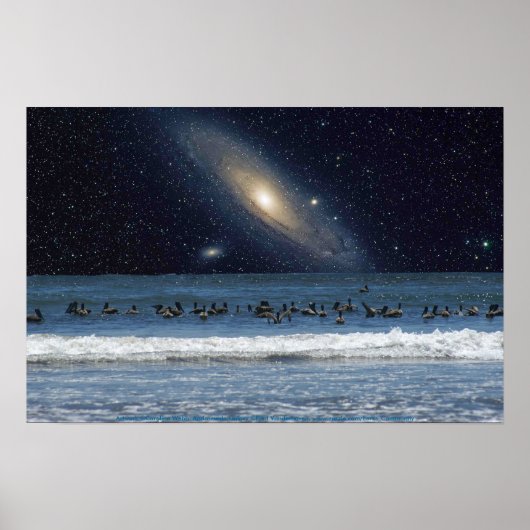 Galaxy Pelicans Poster (Voorkant)