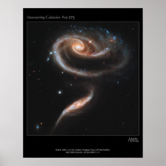 Galaxy Roos Poster