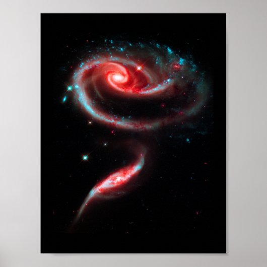 Galaxy Roos Red Poster (Voorkant)