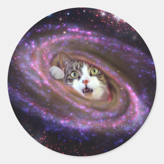 Galaxy Space Cats LOL Funny Sticker (Voorkant)