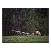 "Gale Push me" Foto Afdruk (Voorkant)