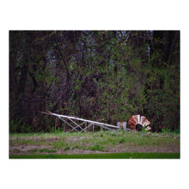 "Gale Push me" Foto Afdruk