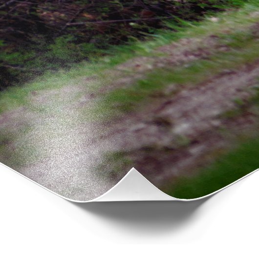 "Gale Push me" Foto Afdruk (Hoek)