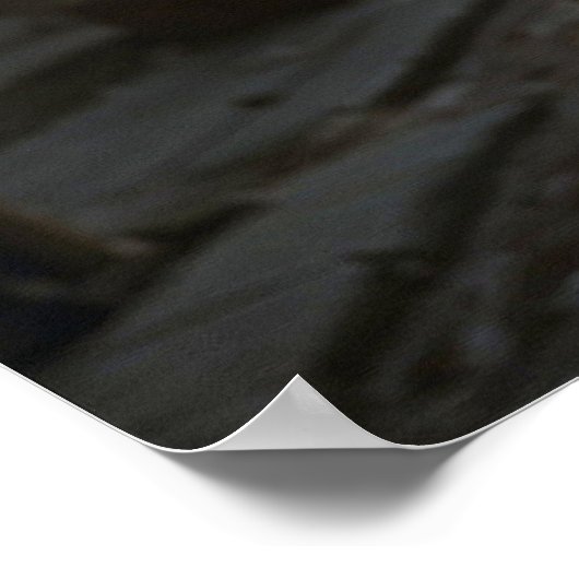 Galeena, Verdediger van het Volk Poster (Hoek)