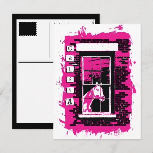 Galena Window Horse Briefkaart (Voorkant / Achterkant)