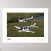 Galerie Beech Buddies Poster (Voorkant)