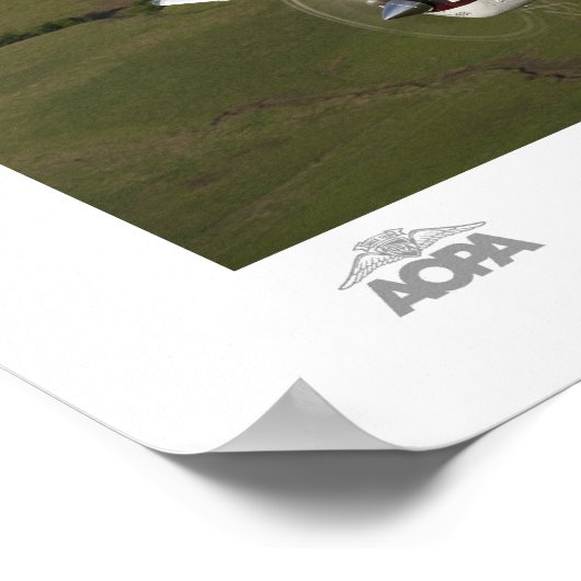 Galerie Beech Buddies Poster (Hoek)