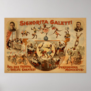 GALETTI Performance Monkeys Act VAUDEVILLE Poster
