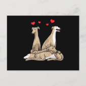 Galgo Español Dog Spanish Sighthound Briefkaart (Voorkant)