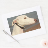 Galgo Windhund Rechthoekige Sticker (Envelop)