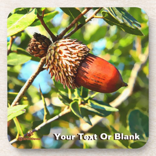 Galilee Acorn Bier Onderzetter (Voorkant)