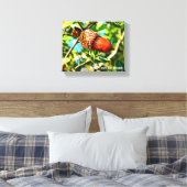Galilee Acorn Canvas Afdruk (Insitu (Slaapkamer))