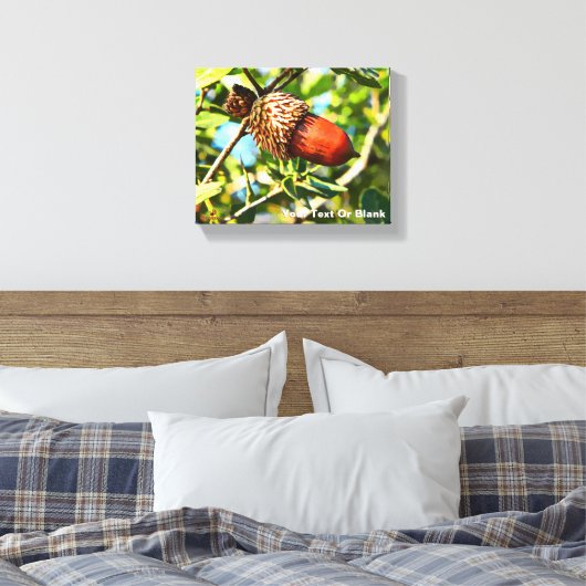 Galilee Acorn Canvas Afdruk (Insitu (Slaapkamer))