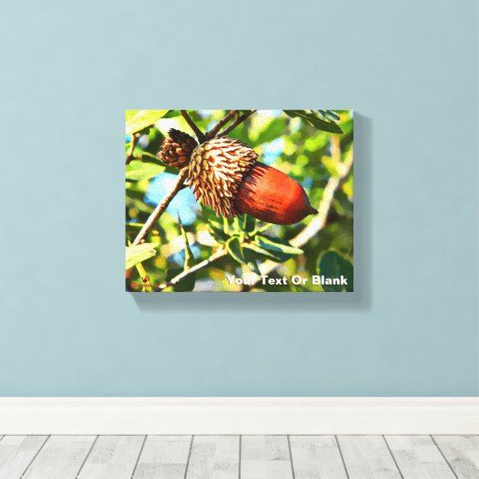 Galilee Acorn Canvas Afdruk (Insitu (Houten vloer))