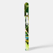 Galilee Acorn Case-Mate iPhone Case (Achterkant / Links)