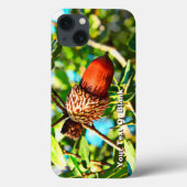 Galilee Acorn Case-Mate iPhone Case (Achterkant)