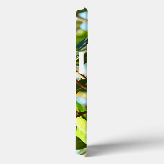 Galilee Acorn Case-Mate iPhone Case (Achterkant / Rechts)