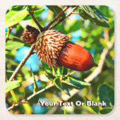 Galilee Acorn Kartonnen Onderzetters (Voorkant)