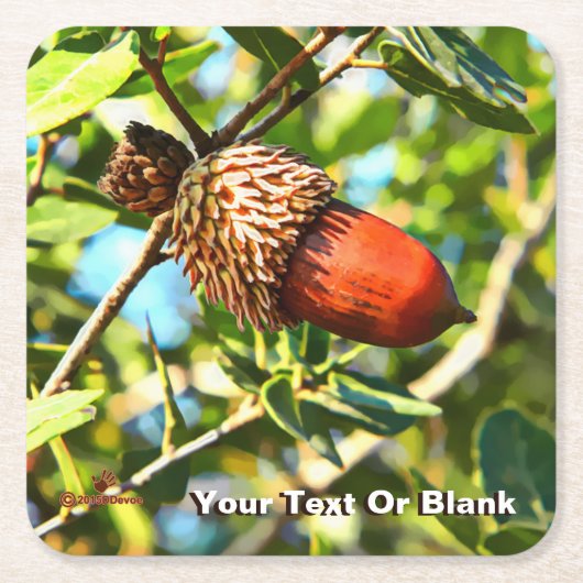 Galilee Acorn Kartonnen Onderzetters (Voorkant)