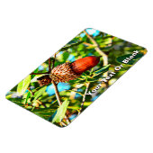 Galilee Acorn Magneet (Linkerzijde)