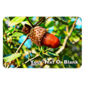 Galilee Acorn Magneet (Horizontaal)