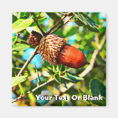 Galilee Acorn Magneet (Voorkant)