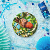 Galilee Acorn Papieren Bordje (Feest)